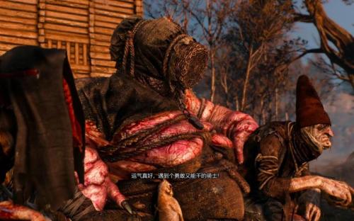 巫师3和巫师2关系大吗，巫师3和巫师2哪个好玩？-第1张图片-18星游戏